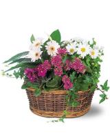 Villager Flowers & Gifts image 17